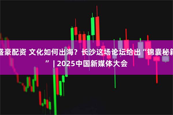 盛豪配资 文化如何出海?长沙这场论坛给出“锦囊秘籍” | 2025中国新媒体大会