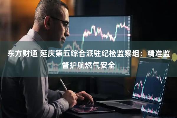 东方财通 延庆第五综合派驻纪检监察组：精准监督护航燃气安全