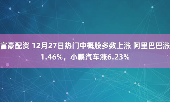 富豪配资 12月27日热门中概股多数上涨 阿里巴巴涨1.46%,小鹏汽车涨6.23%